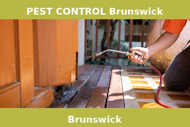 PEST CONTROL Brunswick